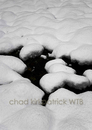 Nature023IMG_4260