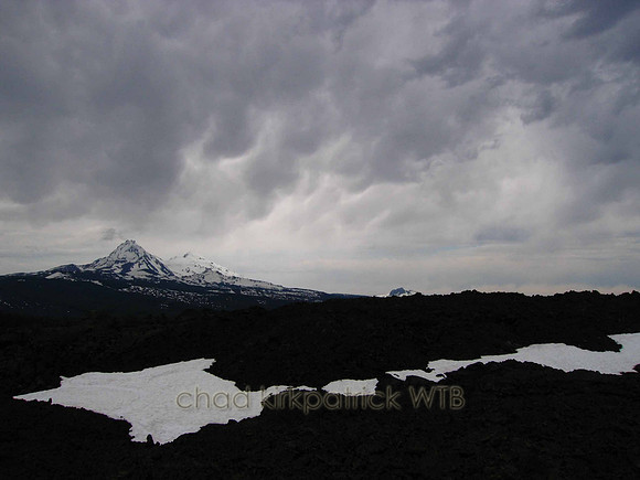 Nature223WTB_105
