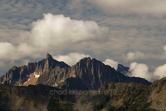 Nature145IMG_8800