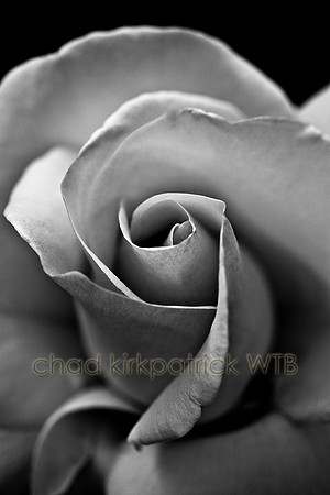 IMG_9777_4