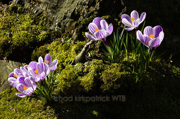 20120308-IMG_0196