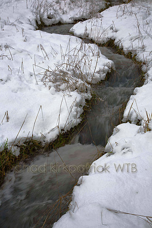 Nature020IMG_4291