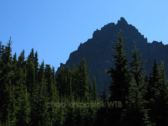 Nature195WTB_057