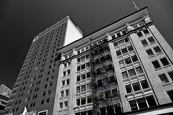 IMG_8873_5.jpg