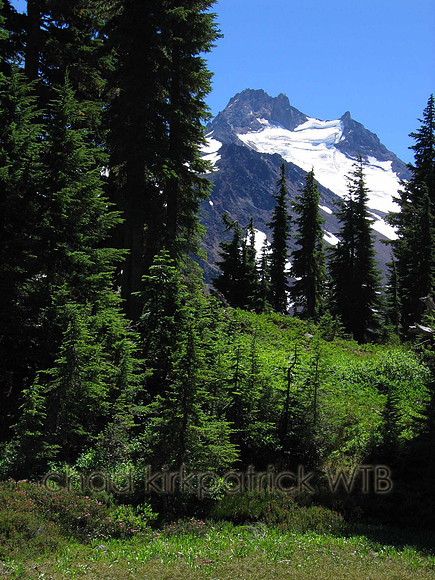 Nature259WTB_185