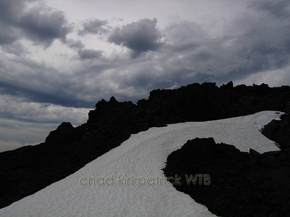 Nature221WTB_106