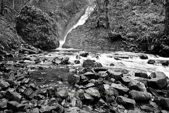 IMG_0862_4.jpg