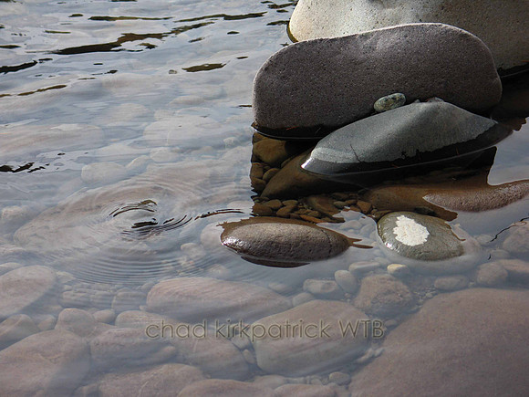 Nature180WTB_019