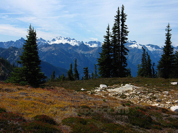 Nature185WTB_035