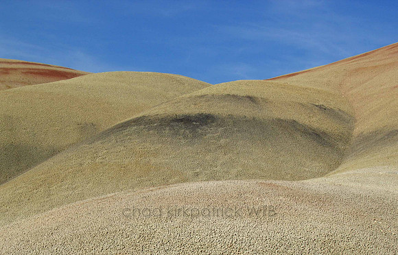 Nature214WTB_088