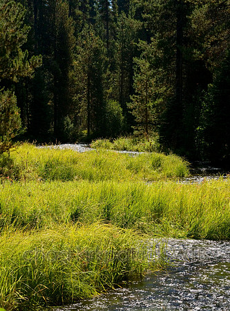 Nature128IMG_6962