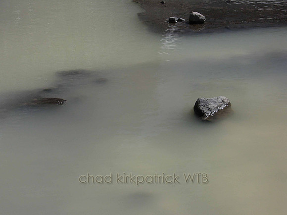 Nature196WTB_061