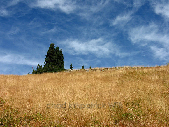 Nature187WTB_040