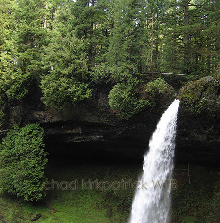 Nature240IMG_4194.2