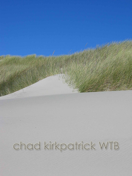Nature291WTB_228