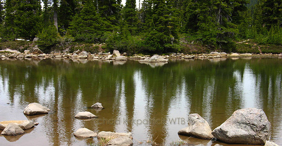 Nature206IMG_9818.2