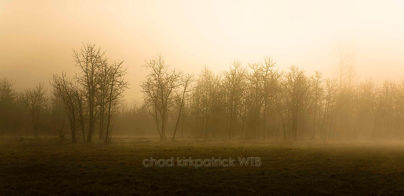 Nature049IMG_2957