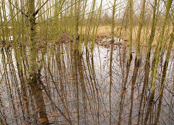 Nature070IMG_1807_1