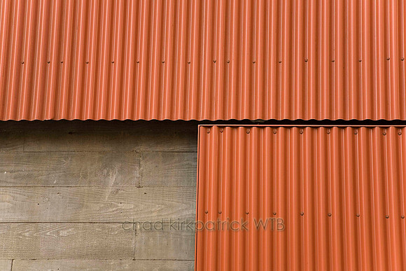 IMG_6464