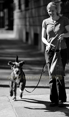 IMG_4713_3