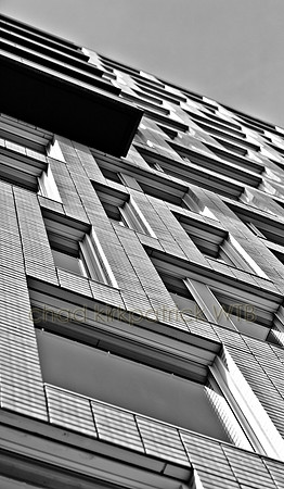 IMG_3777_6