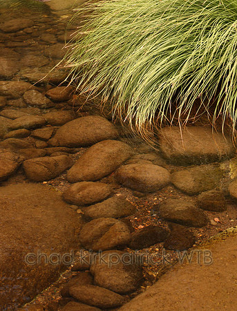 Nature160IMG_5896