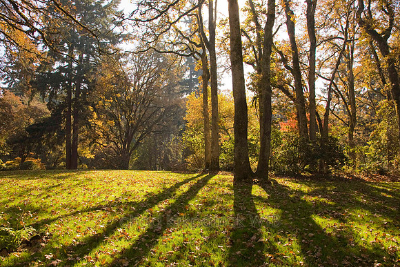 Nature100IMG_4947