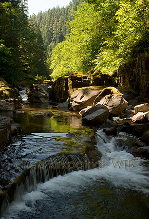 Nature153IMG_6469