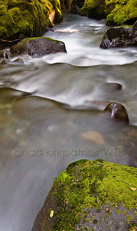 IMG_7943_8