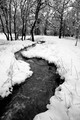 Nature018IMG_4318_1