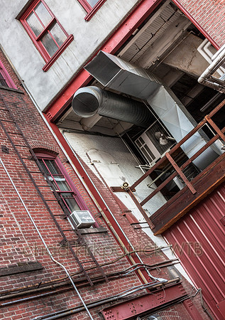 20120308-IMG_0291