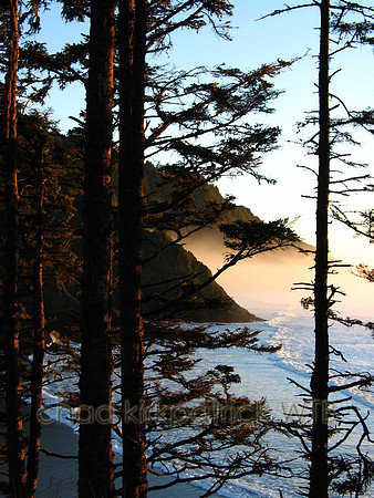 Nature181WTB_024
