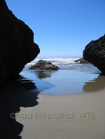 Nature290WTB_226