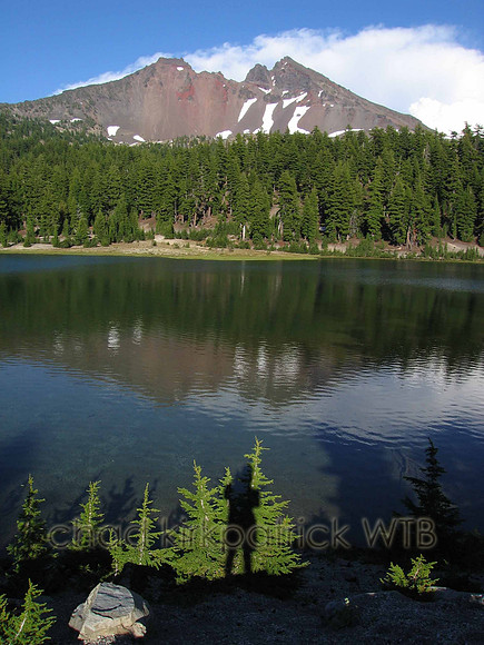 Nature263WTB_190