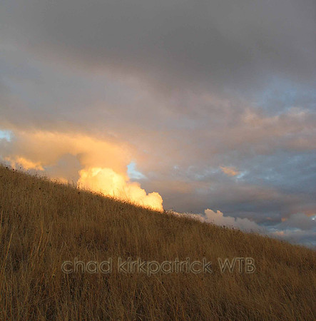 Nature255IMG_2119
