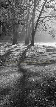 Nature099IMG_7864_2