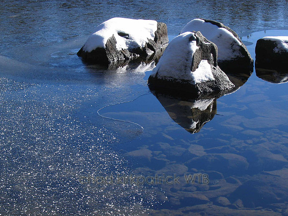 Nature242WTB_159