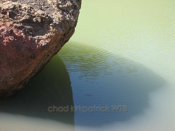 Nature279WTB_213
