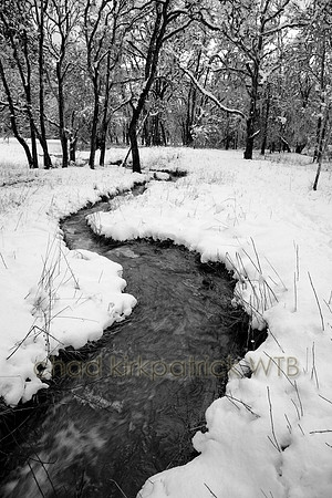 Nature018IMG_4318_1