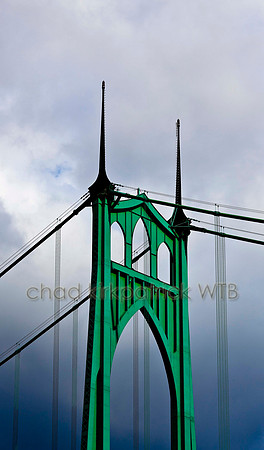 IMG_2860_5
