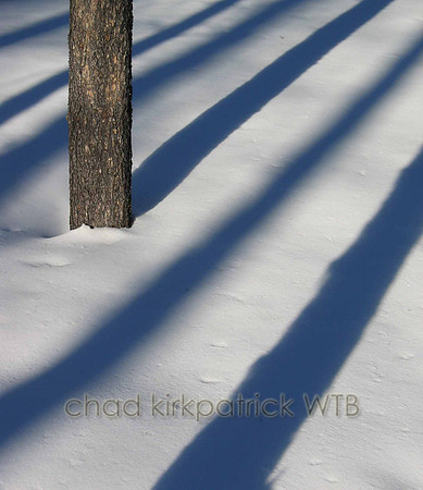 Nature275WTB_207
