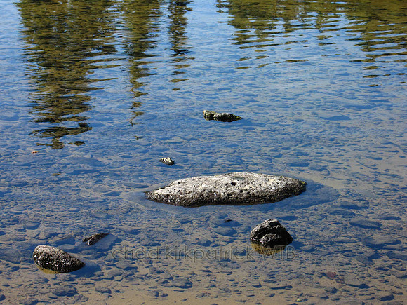 Nature201WTB_062