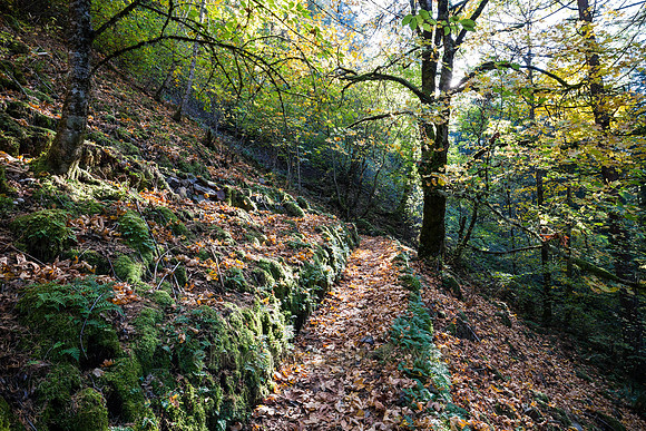 20131020-IMG_2779-2