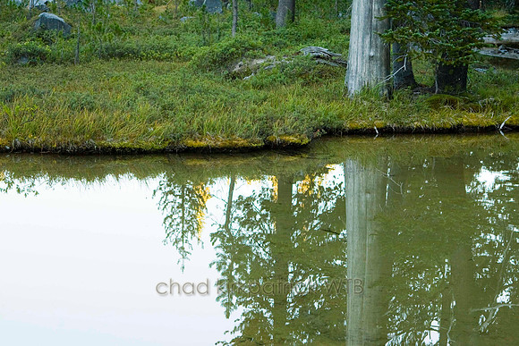 Nature130IMG_6713
