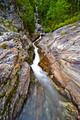 IMG_9225_1