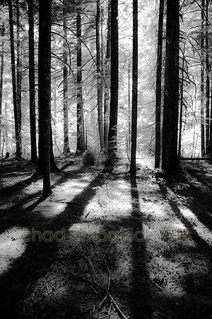 IMG_6072_4