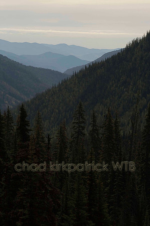 Nature147IMG_8775