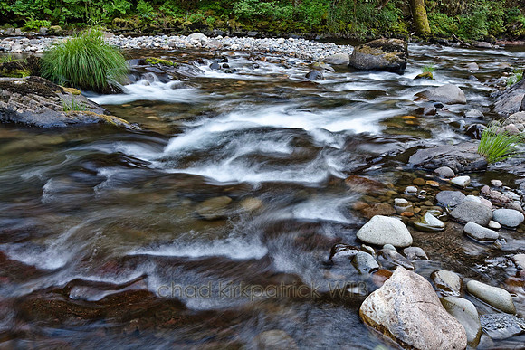 IMG_1094_1.jpg