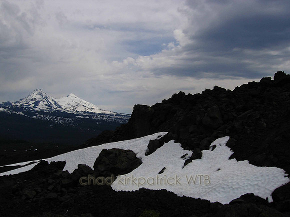 Nature219WTB_109