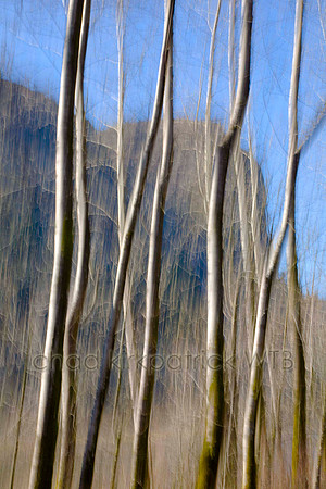 Nature007IMG_6589